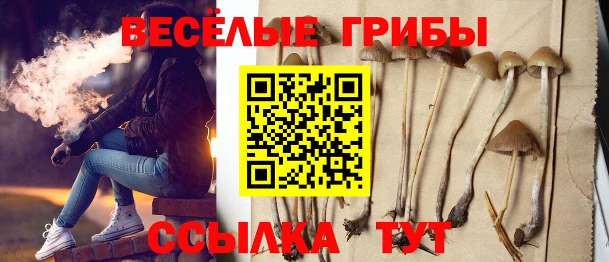 Белебей  Псилоцибиновые грибы мицелий  Псилоцибиновые грибы Psilocybine cubensis  где купить   Вход с VPN 